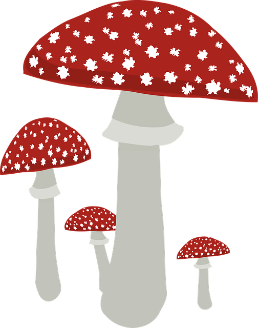 non-toxic