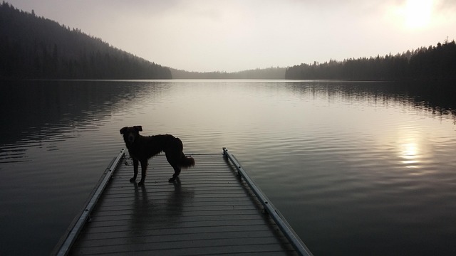 oregon-640x480-15966546.jpeg