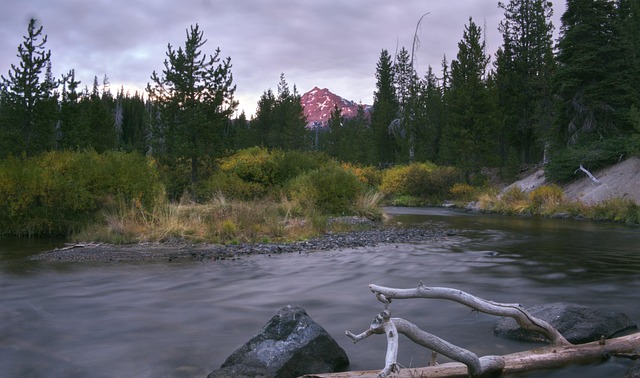 Oregon
