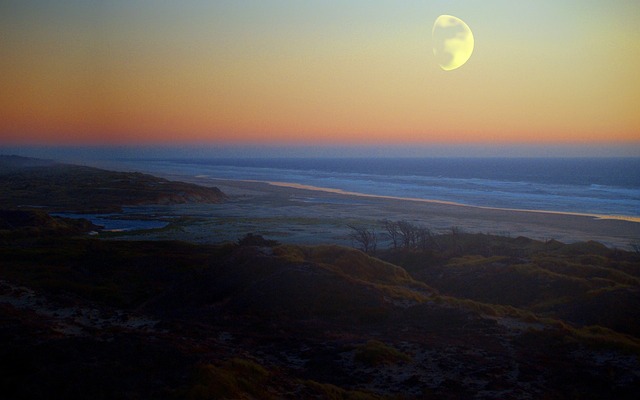 oregon-640x480-27357939.jpeg