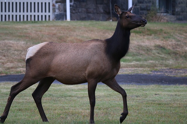 oregon-640x480-52333647.jpeg