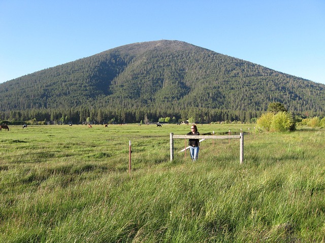 oregon-640x480-85560637.jpeg