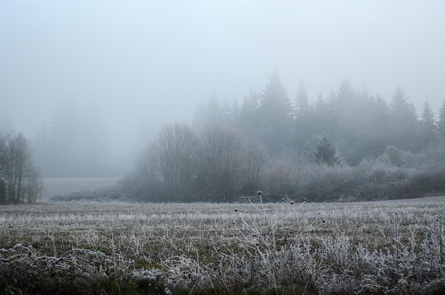 oregon-640x480-89013432.jpeg