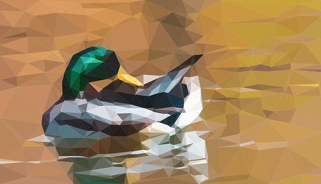 Oregon Ducks