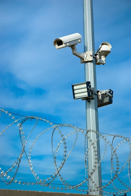 Enhance Outdoor Security: Trusted Doorbell Protects Your Home, Saves You Money