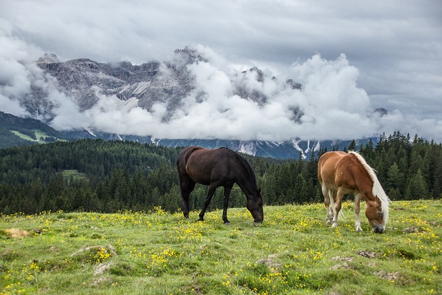 outdoors-640x480-26582334.jpeg