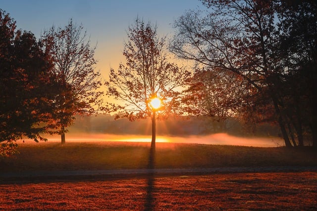 outdoors-640x480-92205350.jpeg