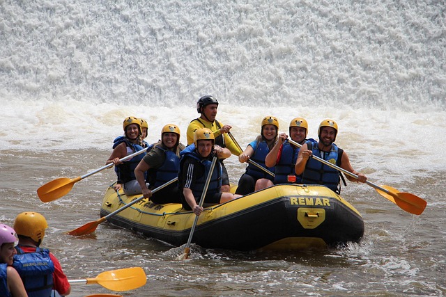 paddle