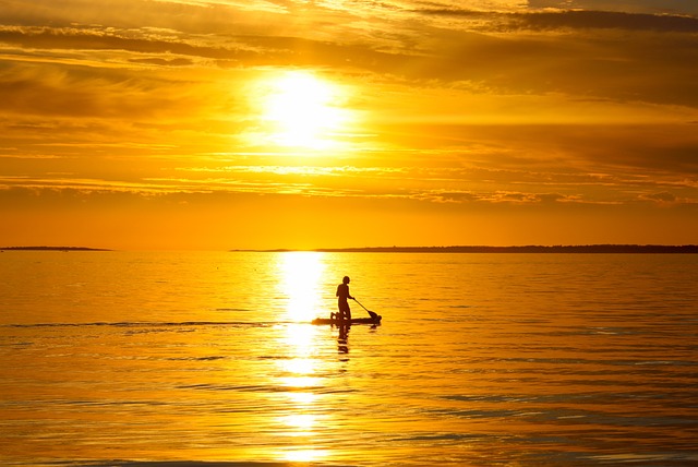 paddle