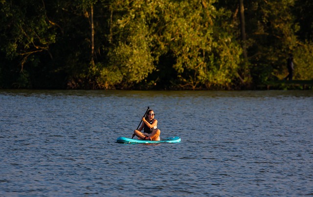 paddle