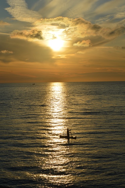 paddle