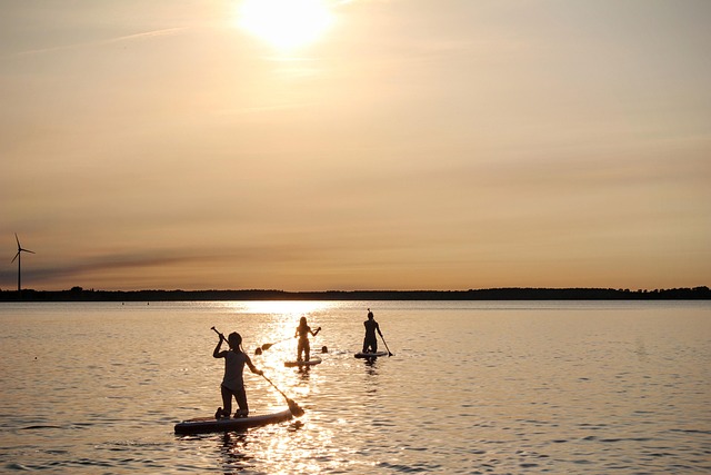 paddle