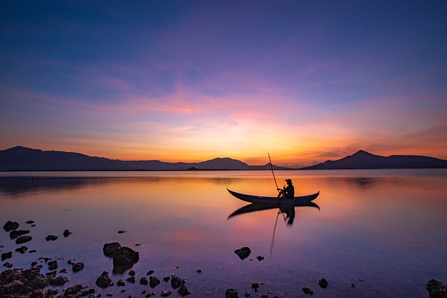 paddle