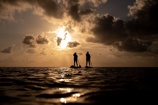 paddleboard