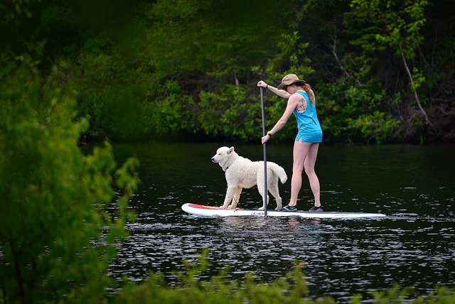 paddleboard