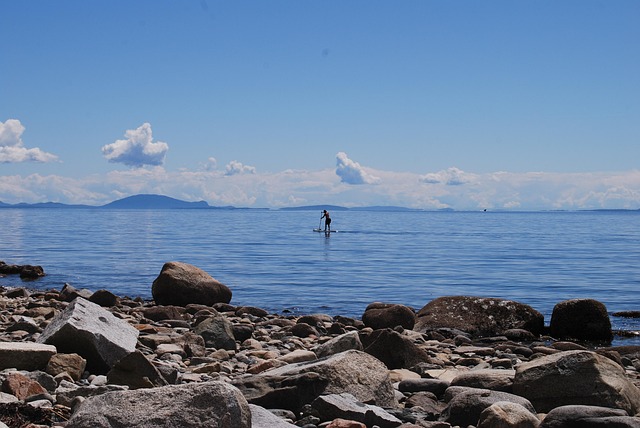 paddleboard