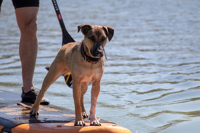 paddling