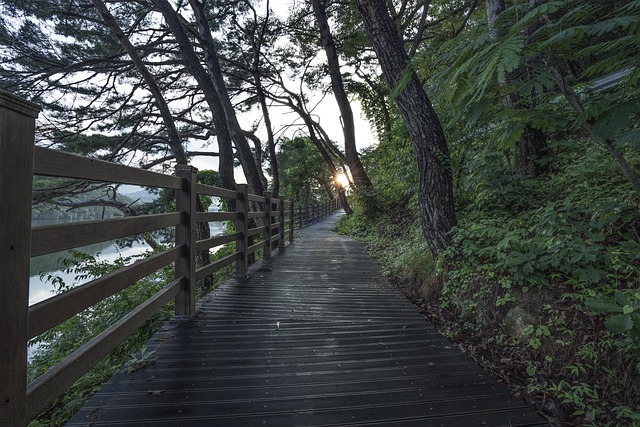 parks-640x480-83512757.jpeg