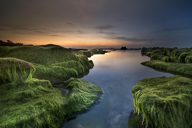photography-640x480-40929394.jpeg