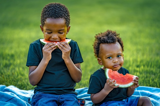 picnic