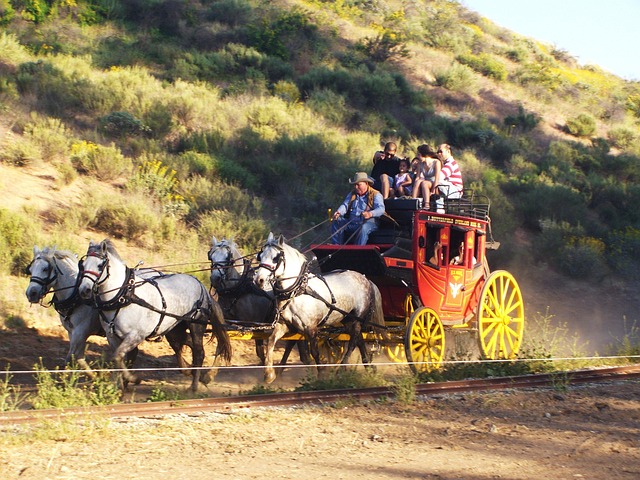 pioneers