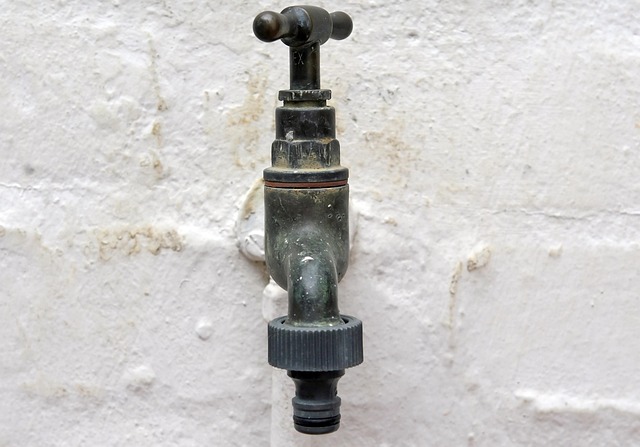 Unveiling Water Damage: Scent, Sight, & Discreet Signs You Can’t Miss