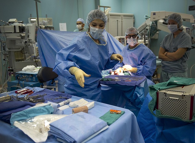 procedures