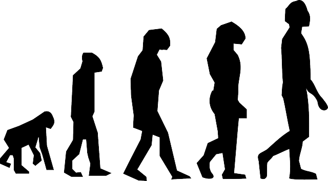 process-640x480-75227584.png