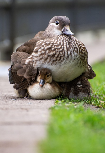 ?protecting