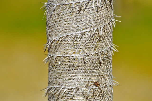 protection