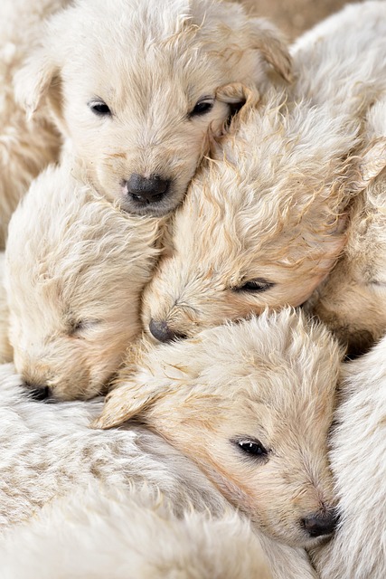 protection