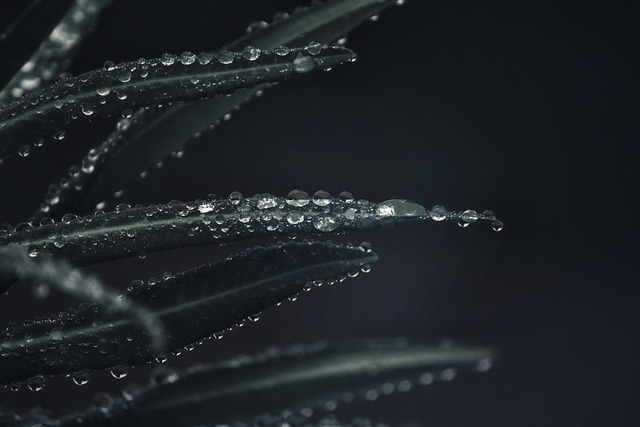 rain