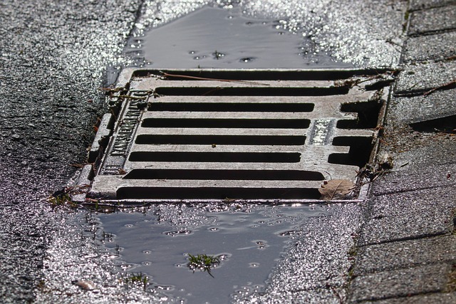 rainwater