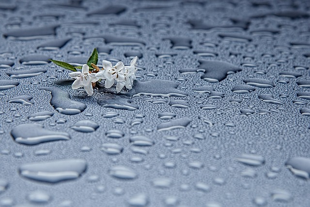 rainwater