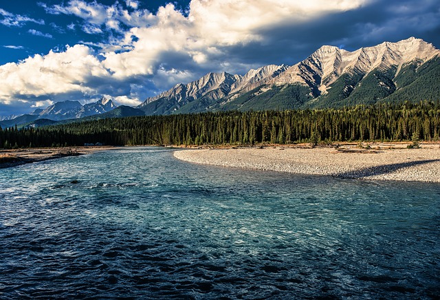 McKenzie River Fishing Clubs: A Comprehensive Guide to Community and Conservation