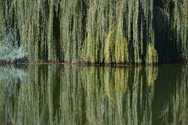 river