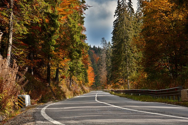 road-640x480-88219551.jpeg