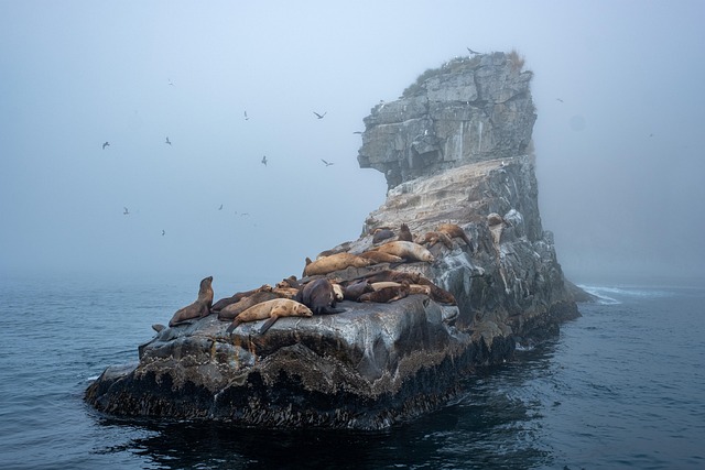 rocks-640x480-33767928.jpeg
