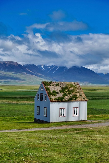 roof-640x480-22482224.jpeg