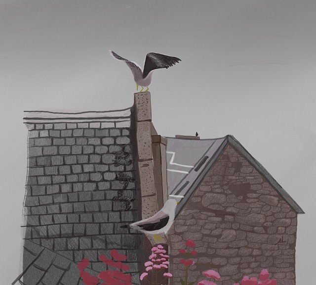roof