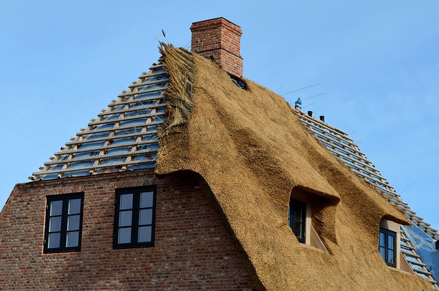 roof