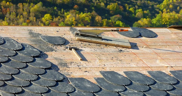 roof-640x480-97219337.jpeg