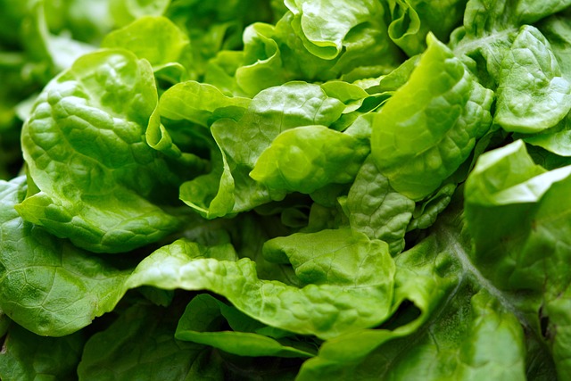 salad-640x480-20017185.jpeg