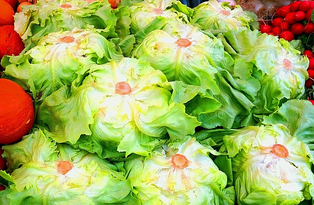 salad-640x480-78348359.jpeg