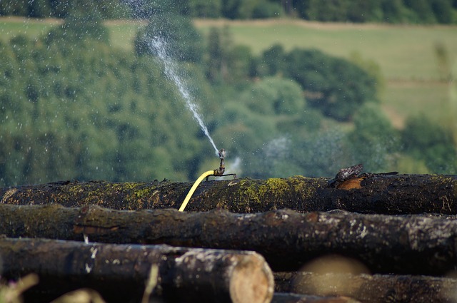 sawmills-640x480-207872.jpeg