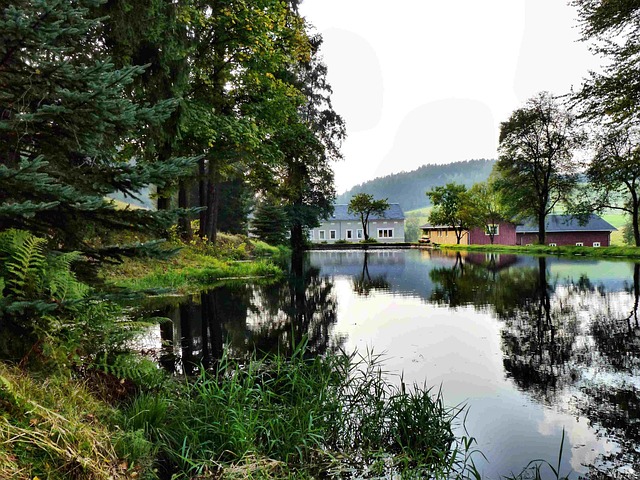 sawmills