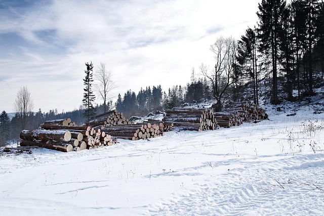 sawmills