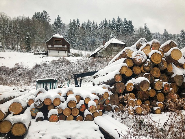 sawmills