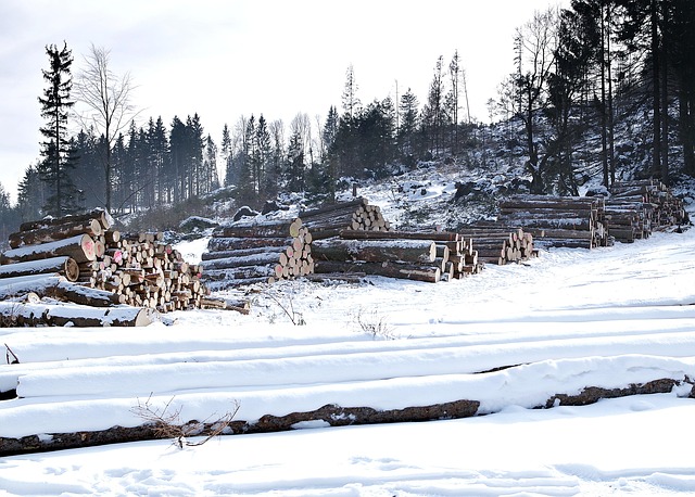 sawmills