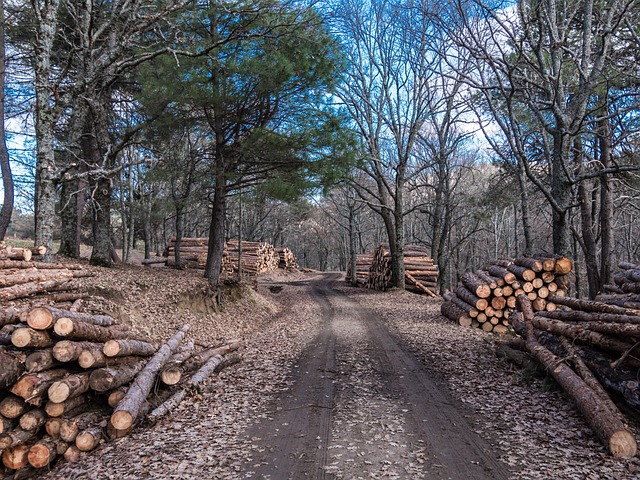 sawmills